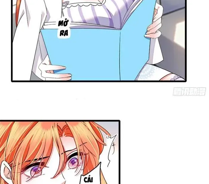 Tỷ Phú Ở Rể Chap 24 - Next Chap 25