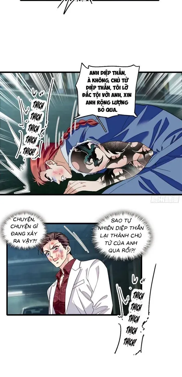 Tỷ Phú Ở Rể Chap 24 - Next Chap 25