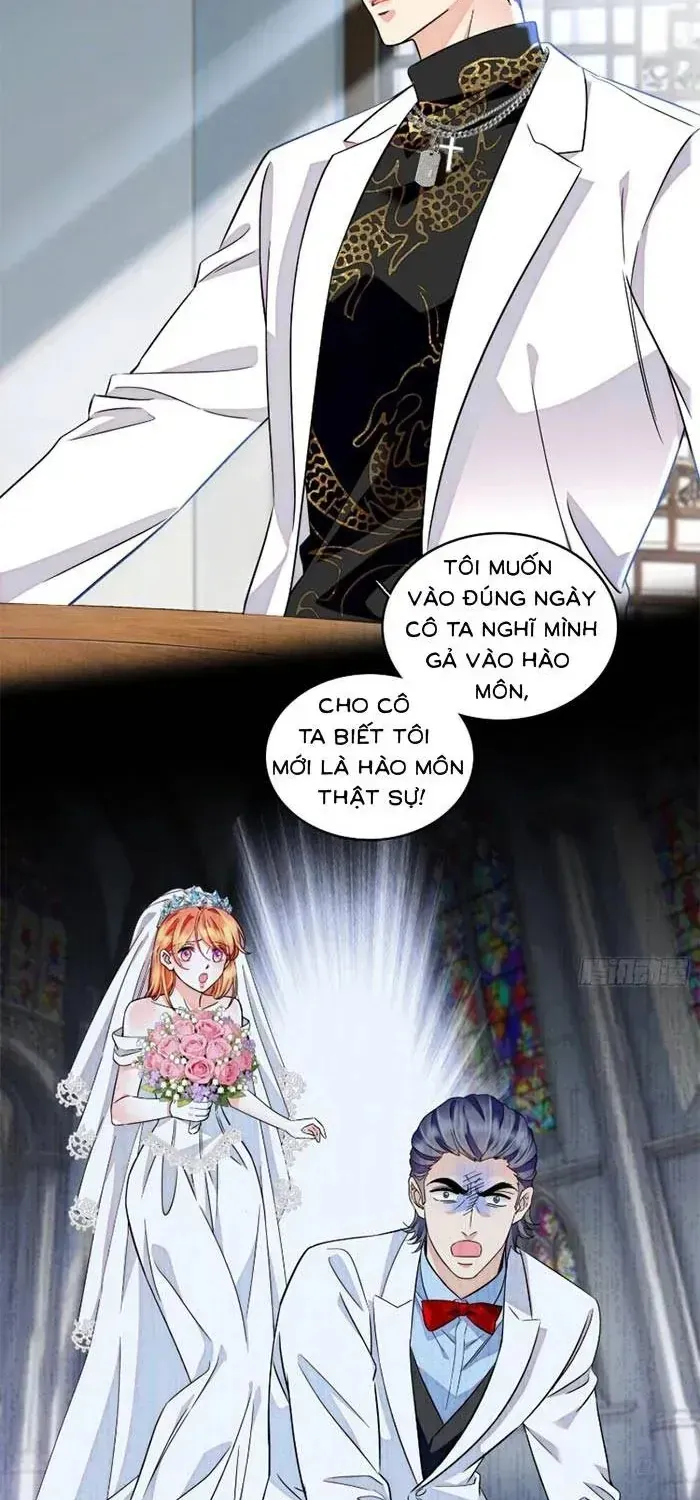 Tỷ Phú Ở Rể Chap 28 - Next Chap 29