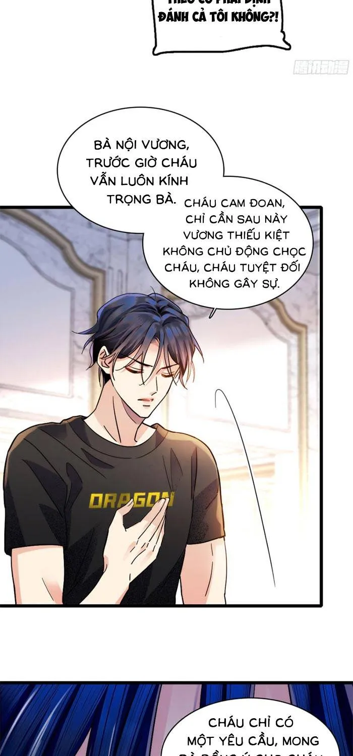 Tỷ Phú Ở Rể Chap 5 - Next Chap 6