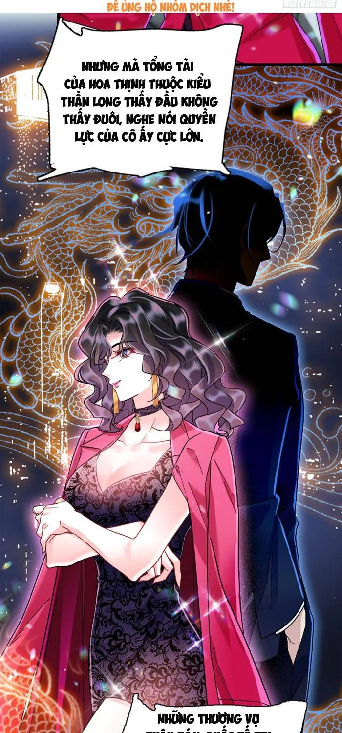 Tỷ Phú Ở Rể Chap 6 - Next Chap 7