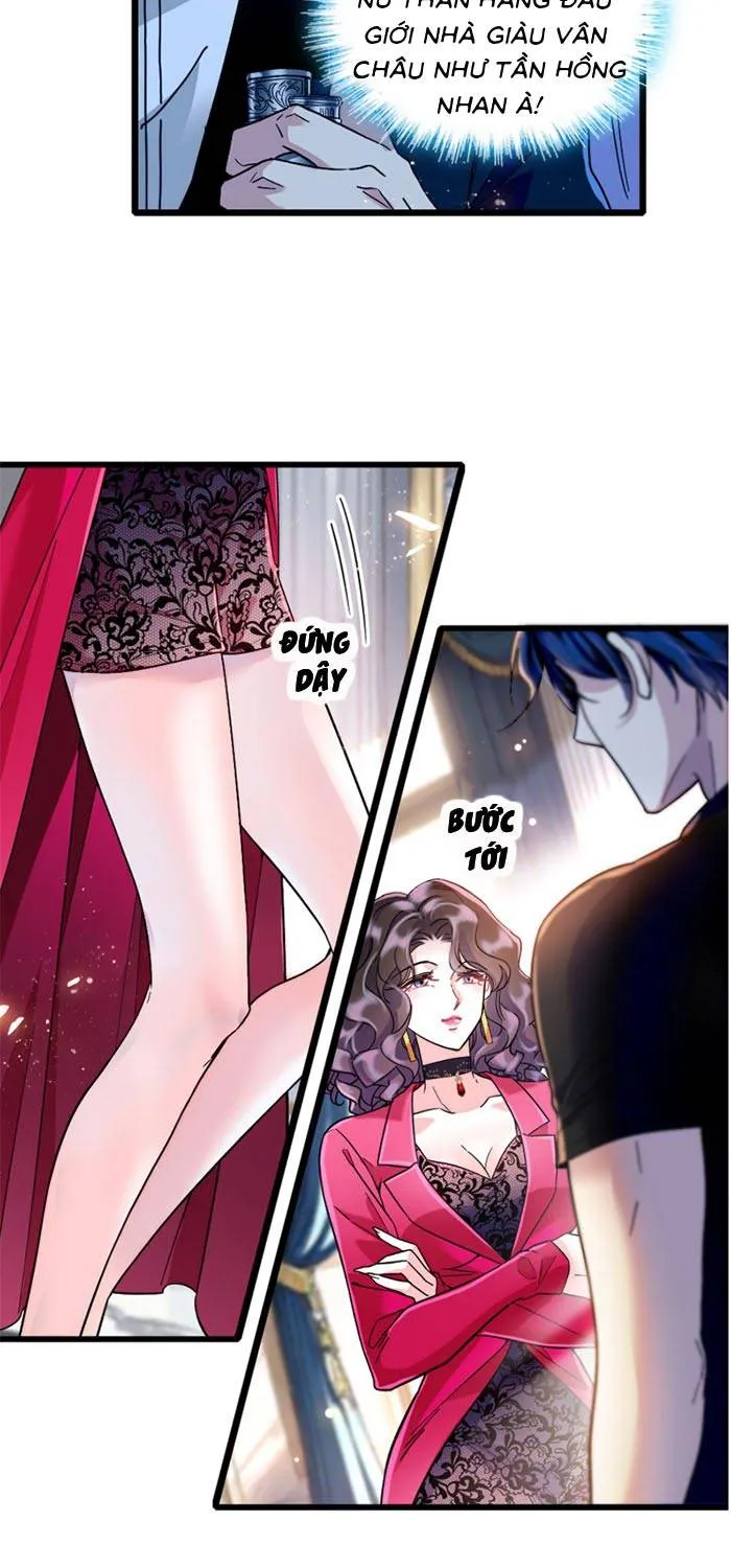 Tỷ Phú Ở Rể Chap 6 - Next Chap 7