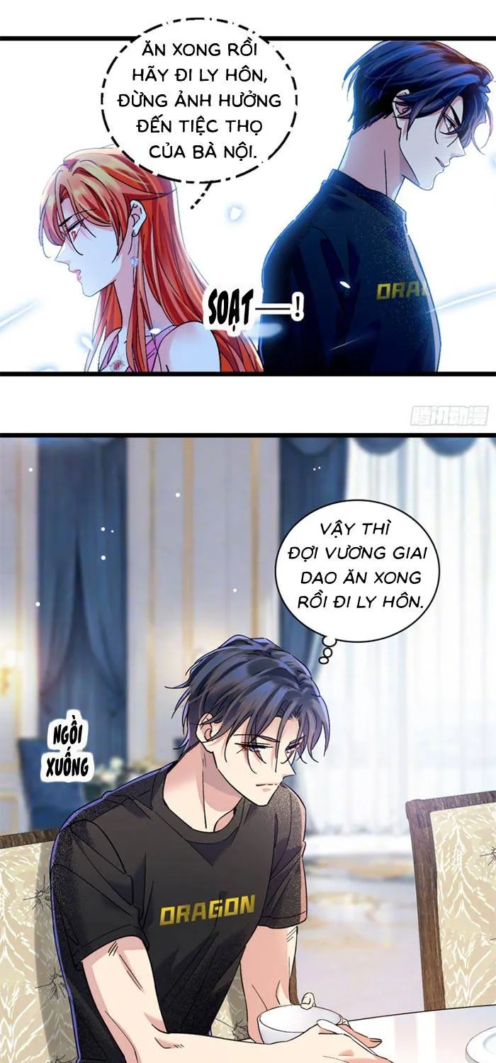 Tỷ Phú Ở Rể Chap 8 - Next Chap 9