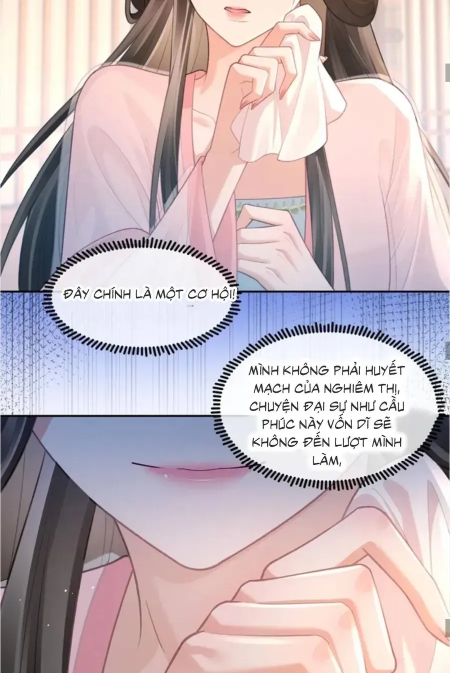 TỶ TỶ , KIẾP NÀY TA TIỄN TỶ LÊN ĐƯỜNG Chap 14 - Next Chap 15