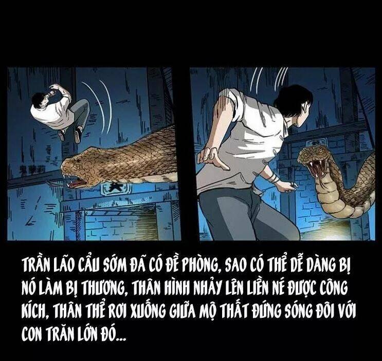 U Minh Ngụy Tượng Chap 141 - Next Chap 142