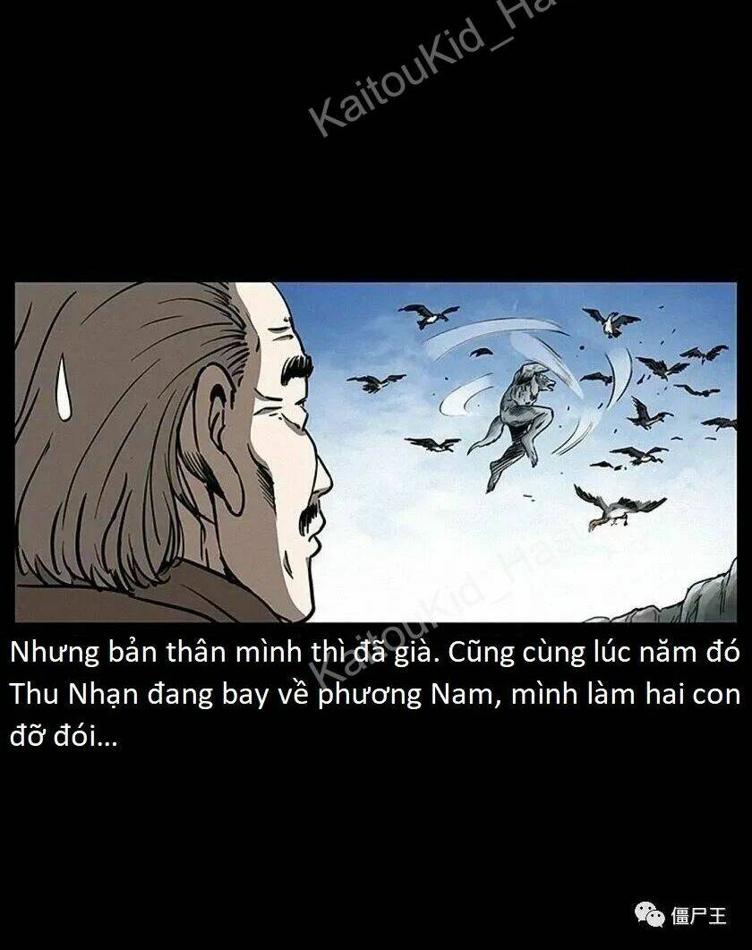 U Minh Ngụy Tượng Chap 308 - Next Chap 309