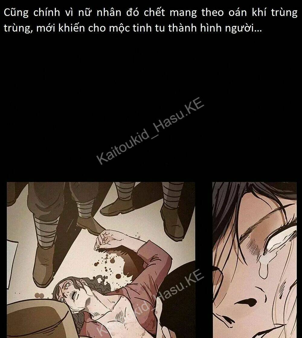 U Minh Ngụy Tượng Chap 309 - Next Chap 310