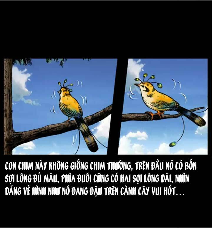 U Minh Ngụy Tượng Chap 49 - Next Chap 50