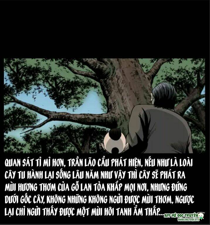 U Minh Ngụy Tượng Chap 8 - Next Chap 9