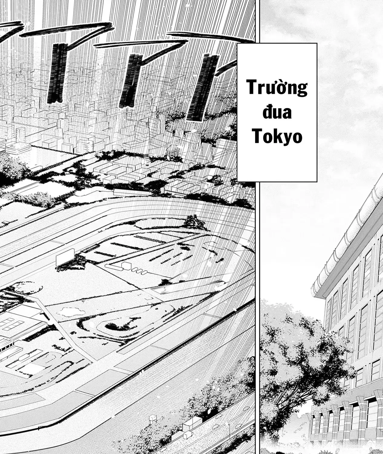Uma Musume: Cinderella Gray Chap 95 - Next Chap 96