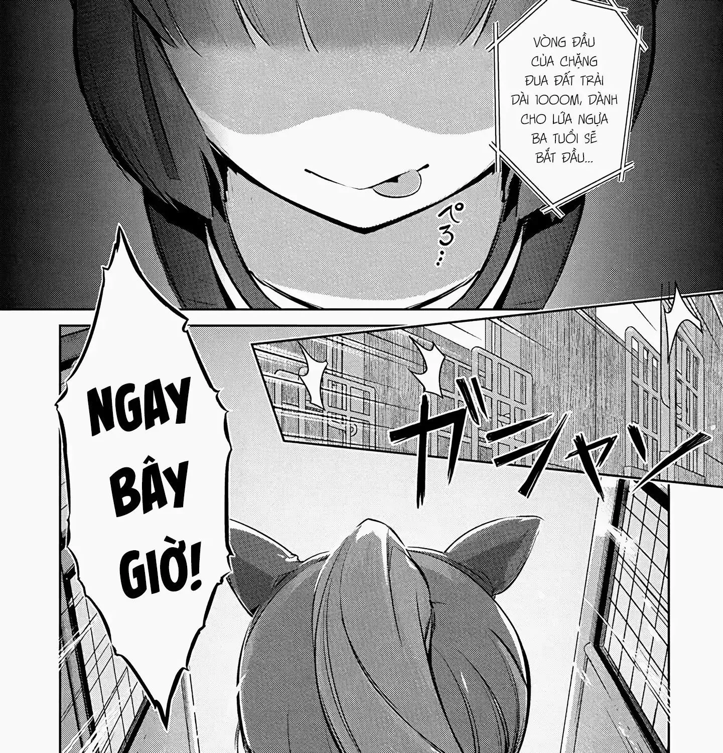 Uma Musume Pretty Derby - Haru Urara Ganbaru! Chap 1 - Next Chap 2