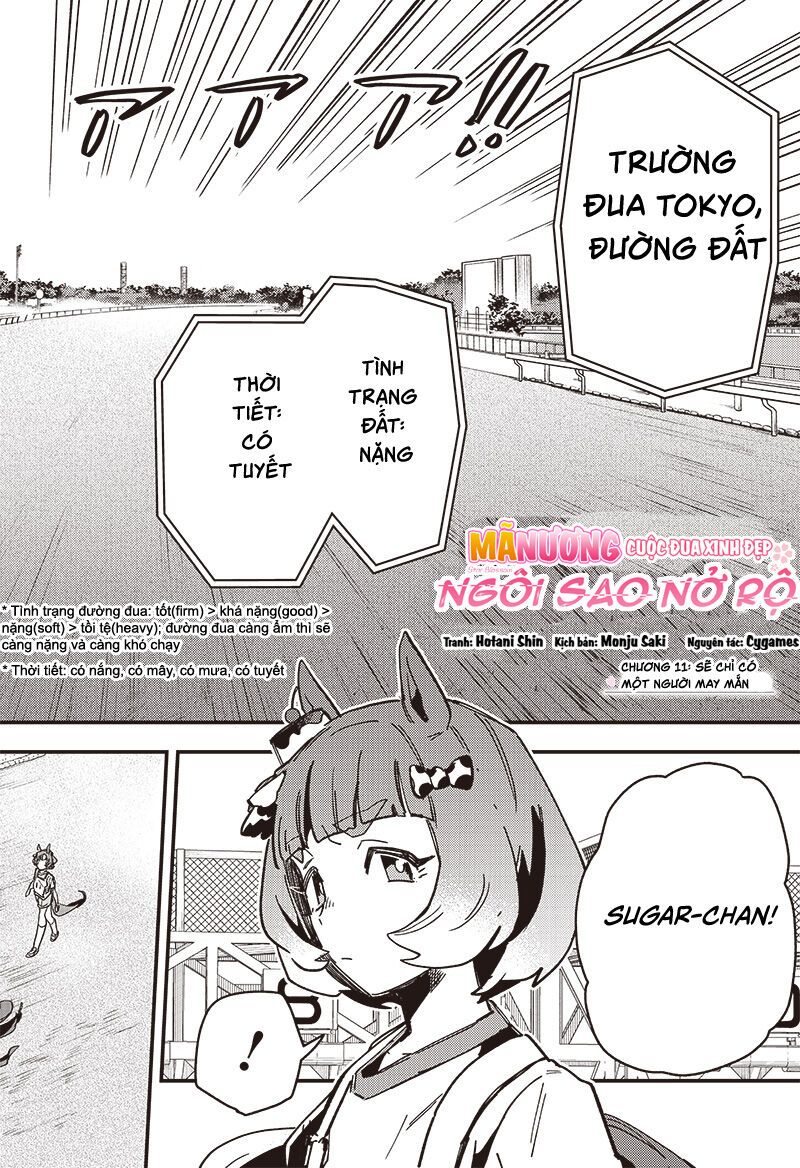 Uma Musume: Pretty Derby - Star Blossom Chap 11 - Next Chap 12