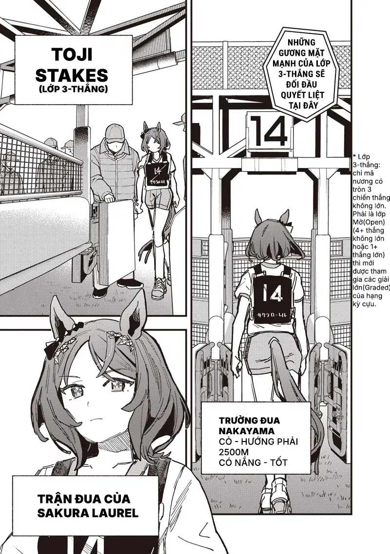Uma Musume: Pretty Derby - Star Blossom Chap 53 - Next Chap 54