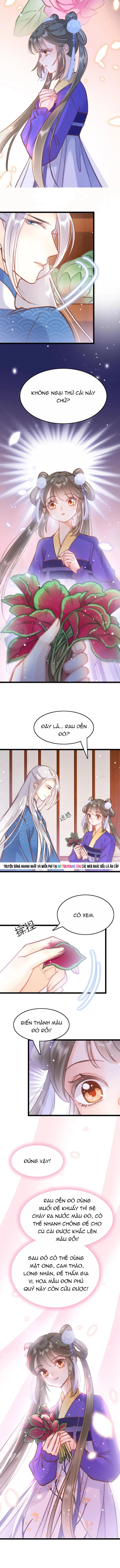 Ứng Hữu Trường Phong Ỷ Bích Liên Chap 16 - Next Chap 17