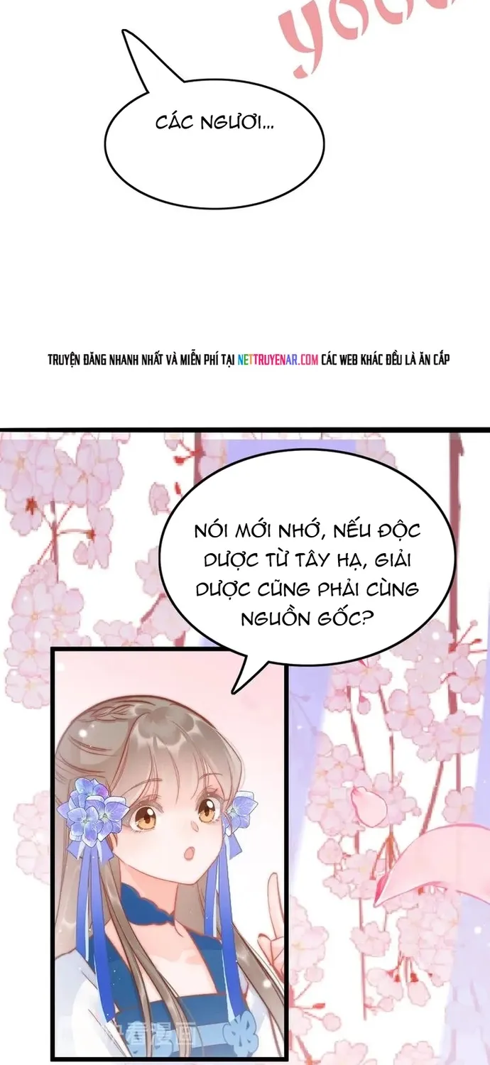 Ứng Hữu Trường Phong Ỷ Bích Liên Chap 36 - Next Chap 37