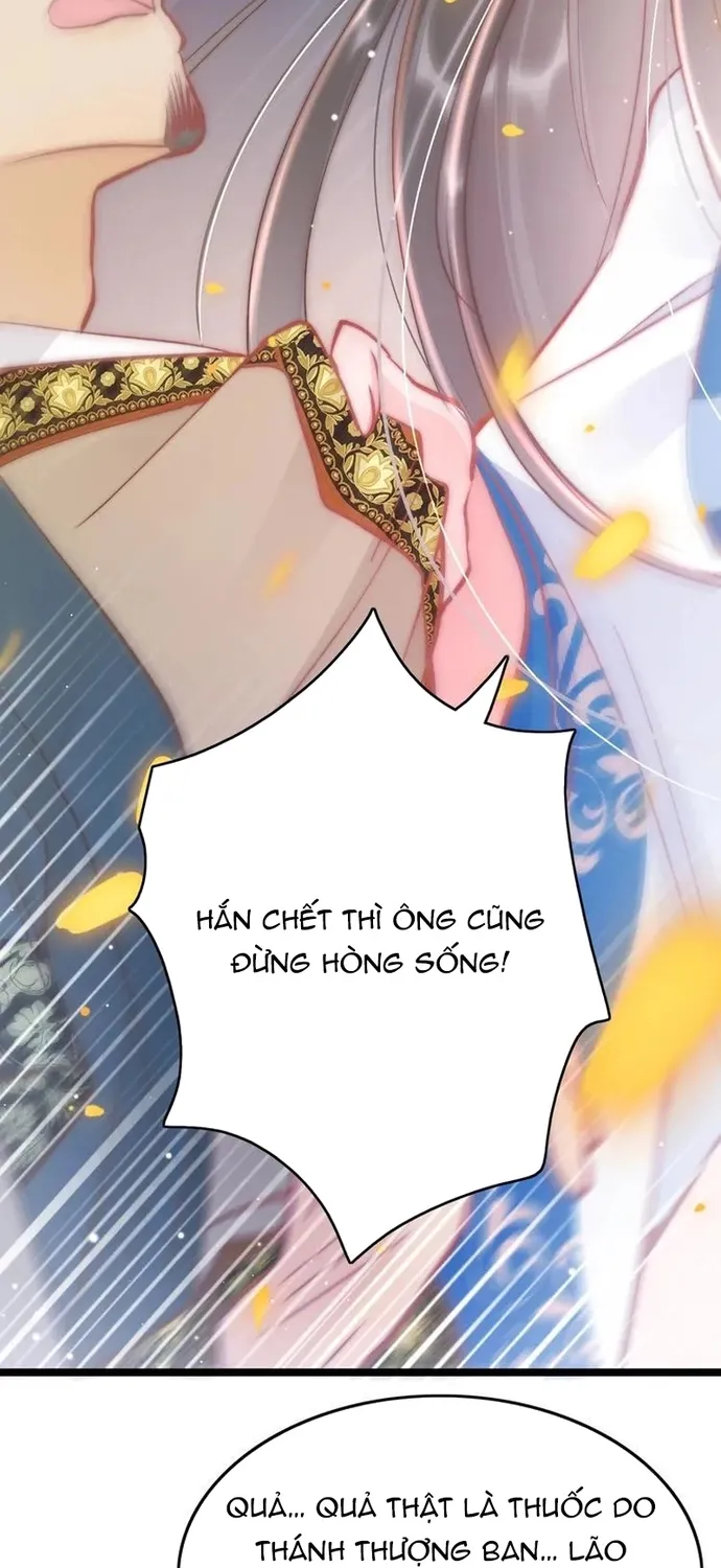 Ứng Hữu Trường Phong Ỷ Bích Liên Chap 38 - Next Chap 39