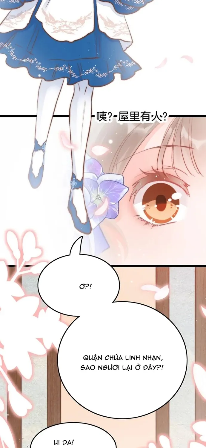 Ứng Hữu Trường Phong Ỷ Bích Liên Chap 40 - Next Chap 41