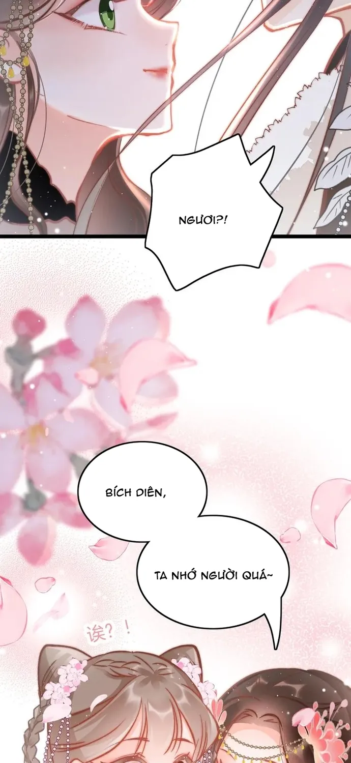 Ứng Hữu Trường Phong Ỷ Bích Liên Chap 41 - Next Chap 42