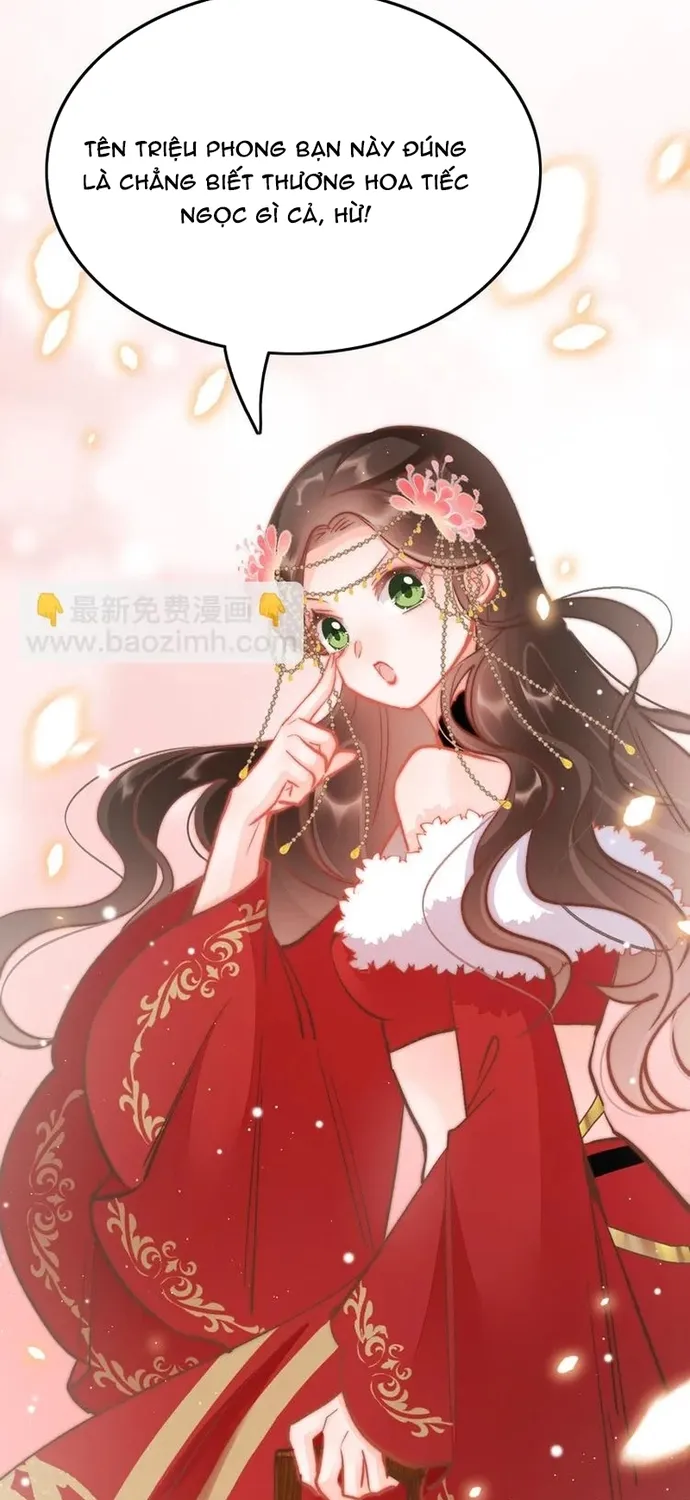 Ứng Hữu Trường Phong Ỷ Bích Liên Chap 41 - Next Chap 42