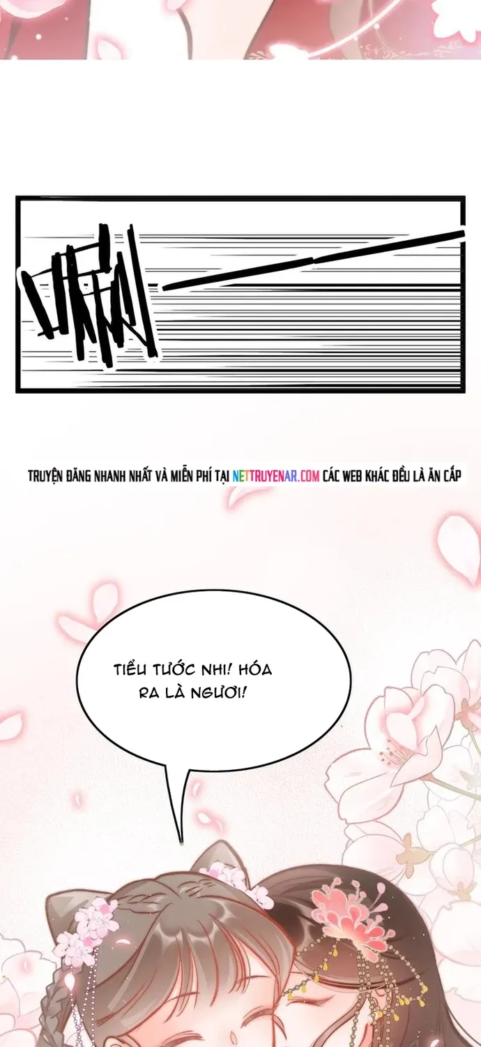 Ứng Hữu Trường Phong Ỷ Bích Liên Chap 41 - Next Chap 42