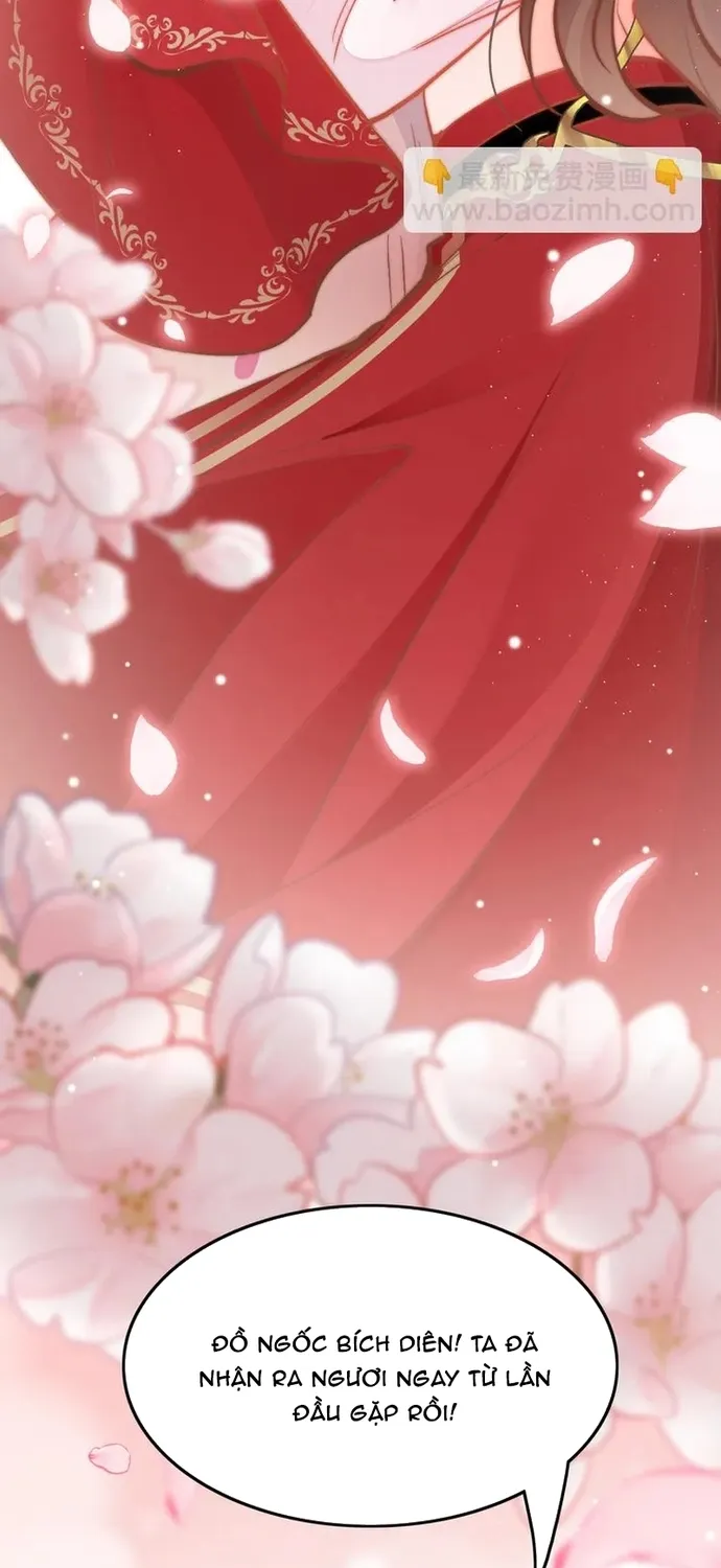 Ứng Hữu Trường Phong Ỷ Bích Liên Chap 41 - Next Chap 42