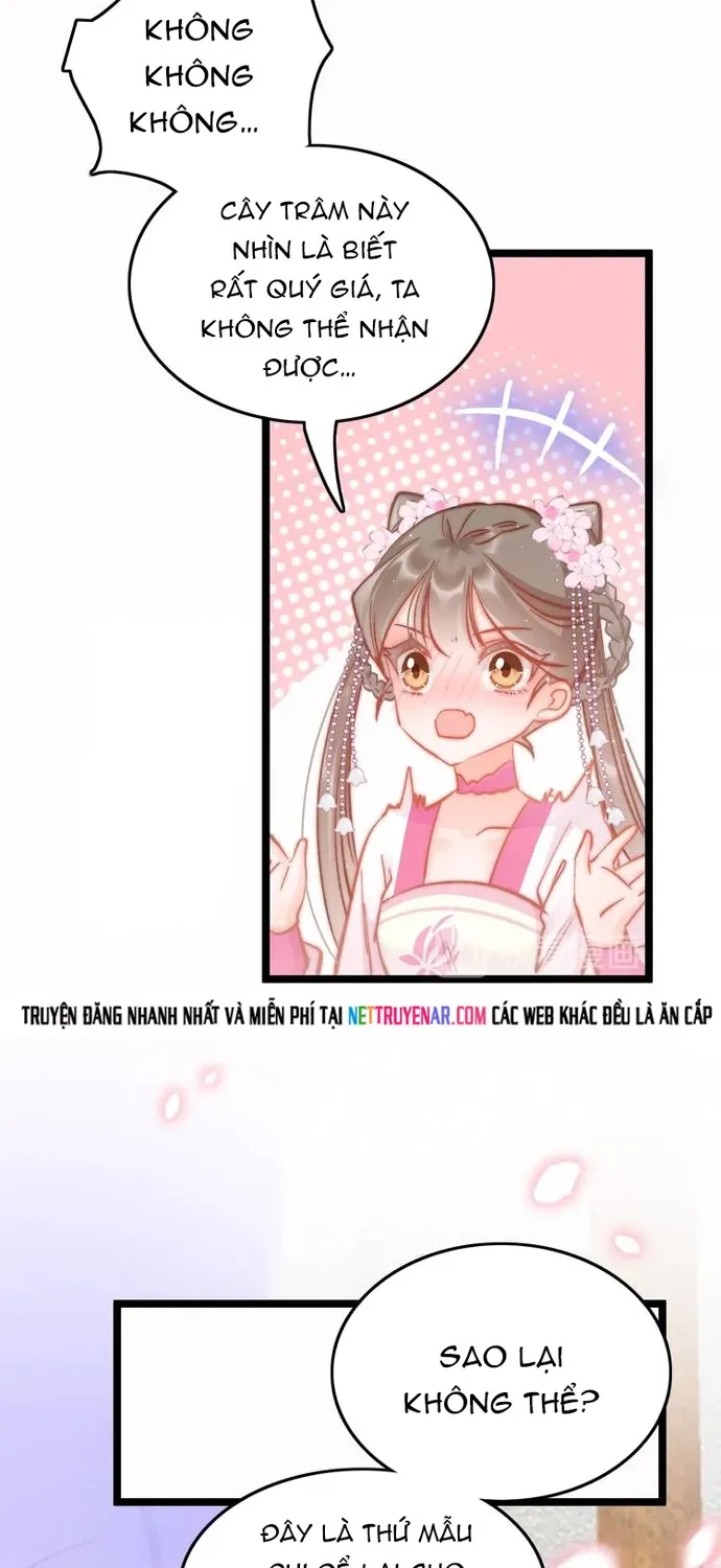 Ứng Hữu Trường Phong Ỷ Bích Liên Chap 44 - Next Chap 45