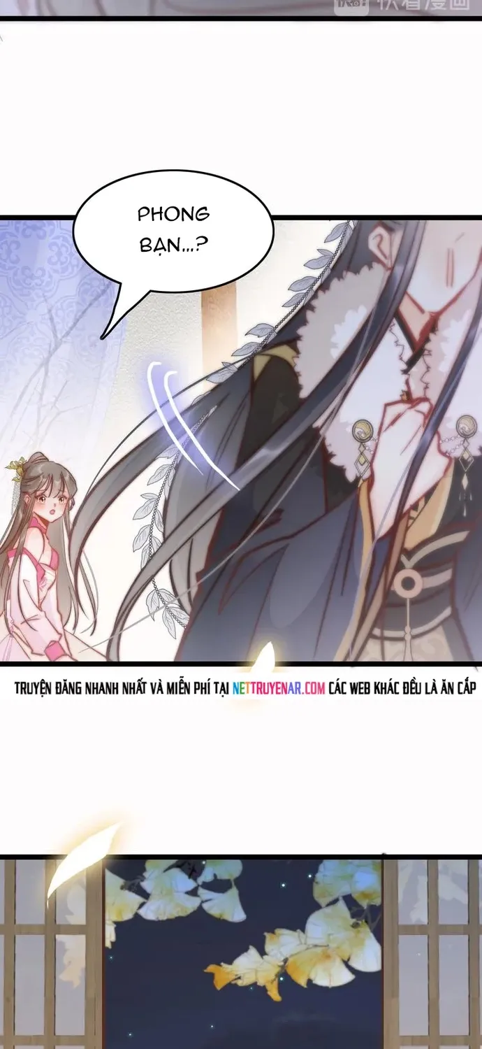 Ứng Hữu Trường Phong Ỷ Bích Liên Chap 44 - Next Chap 45