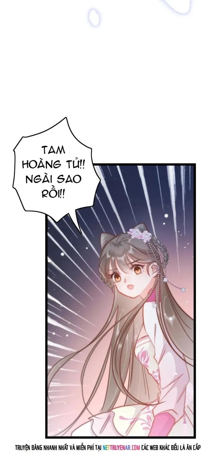 Ứng Hữu Trường Phong Ỷ Bích Liên Chap 51 - Next Chap 52