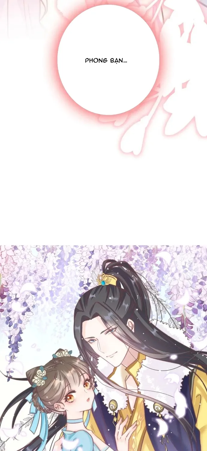 Ứng Hữu Trường Phong Ỷ Bích Liên Chap 52 - Next Chap 53