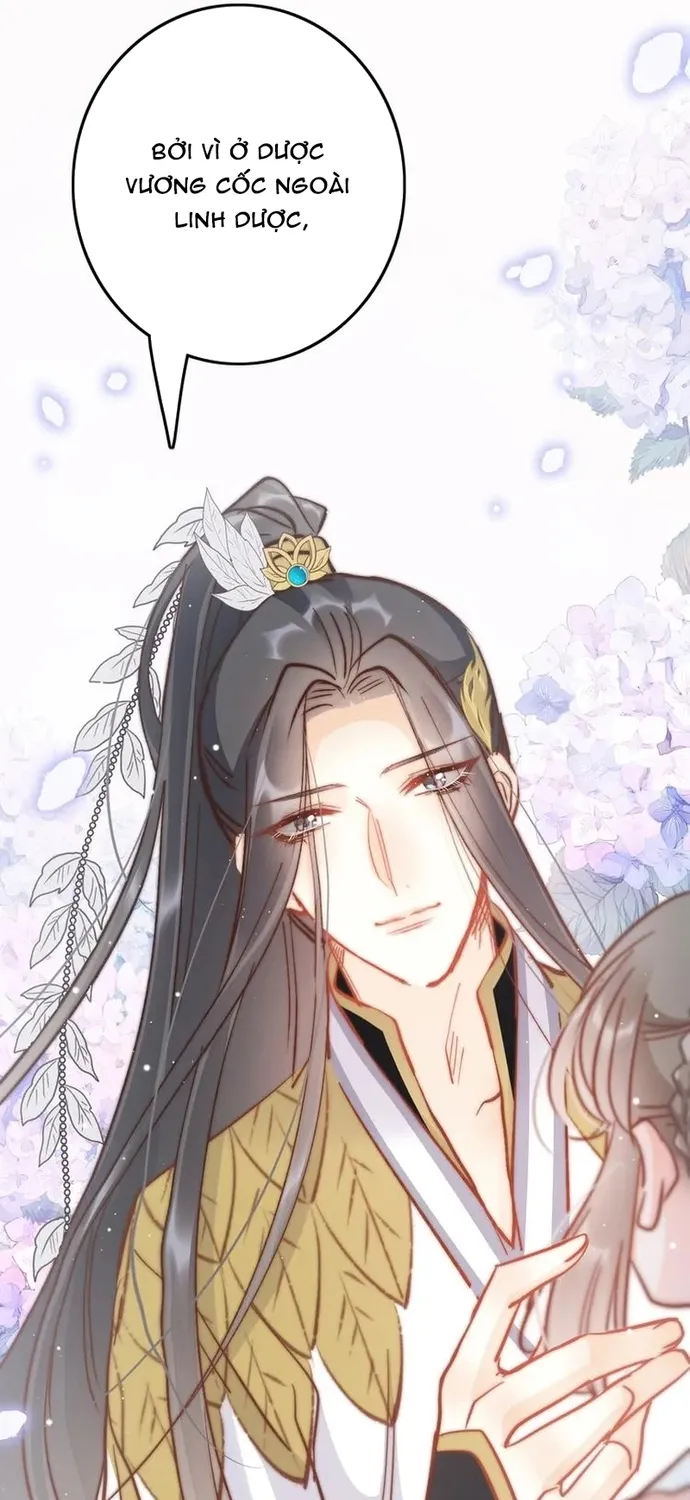 Ứng Hữu Trường Phong Ỷ Bích Liên Chap 55 - Next Chap 56