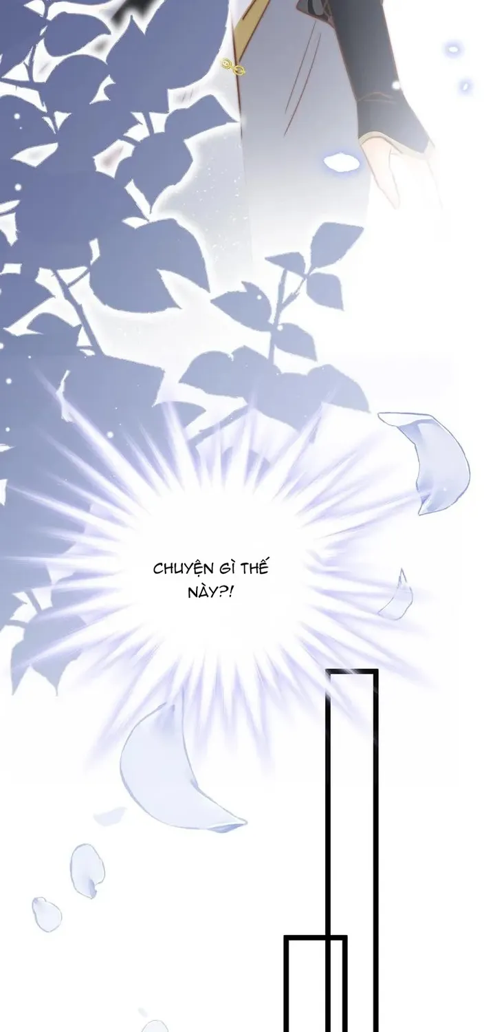 Ứng Hữu Trường Phong Ỷ Bích Liên Chap 57 - Next Chap 58