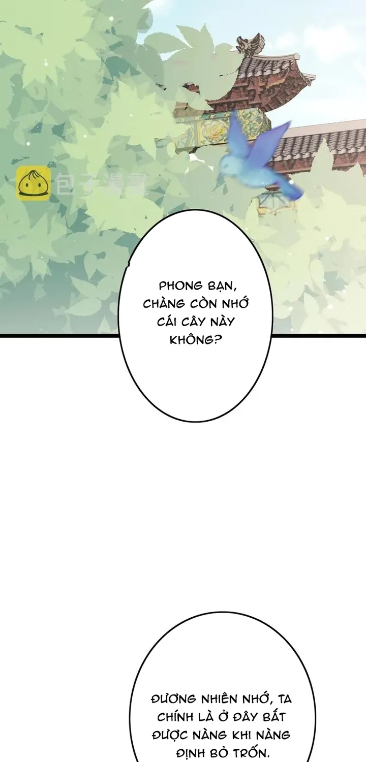 Ứng Hữu Trường Phong Ỷ Bích Liên Chap 61 - Next Chap 62