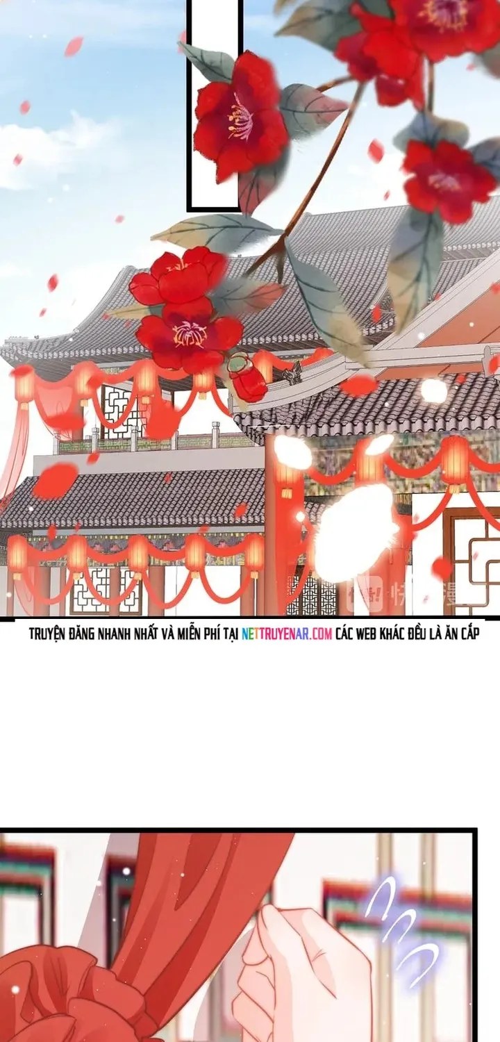 Ứng Hữu Trường Phong Ỷ Bích Liên Chap 61 - Next Chap 62