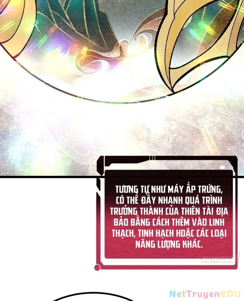 Vạn Cổ Tối Cường Tông Chap 399.2 - Next Chap 400.2