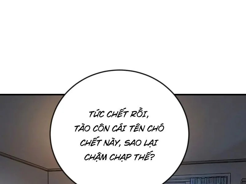 Vào Tù 10 Năm, Ai Còn Hăng Hái Làm Việc Nghĩa? Chap 47 - Next Chap 48