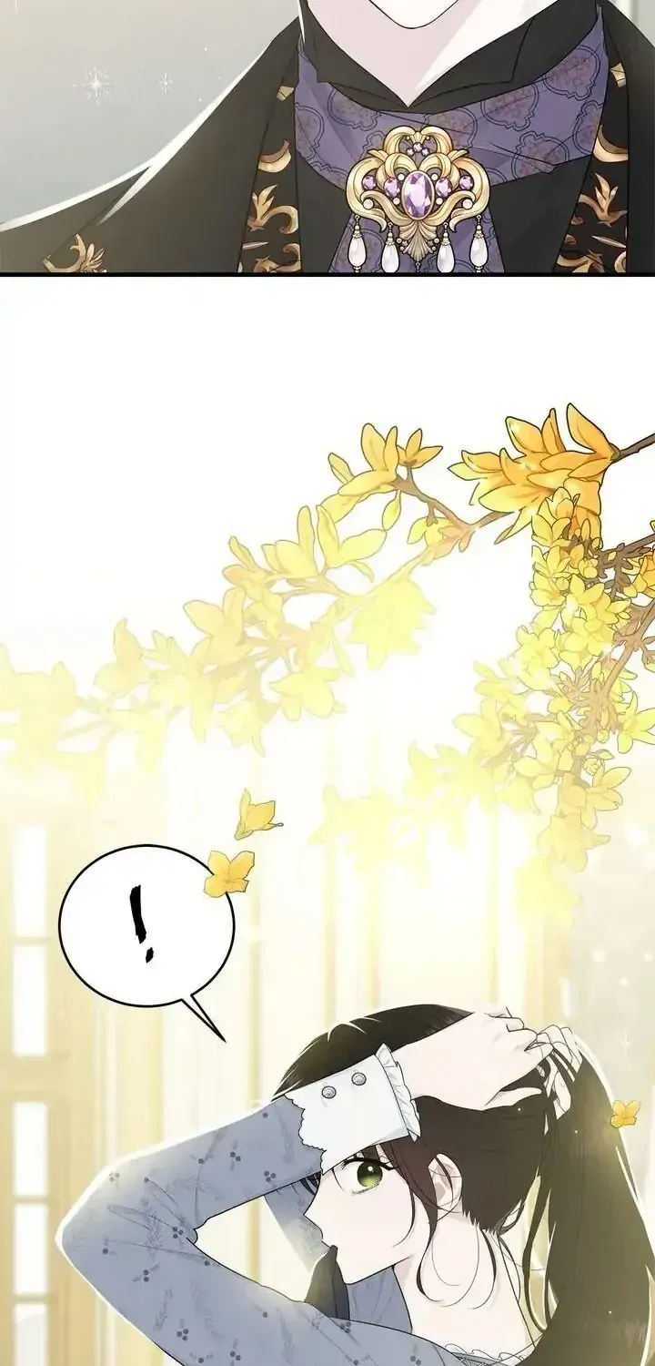 Vị Tiểu Thư Tôi Từng Phục Vụ Đã Trở Thành Thiếu Gia Chap 51 - Next Chap 52