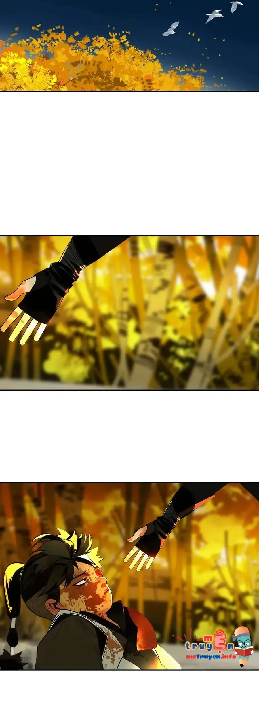 Vì Tinh Tú Bất Diệt Chap 3 - Next Chap 4