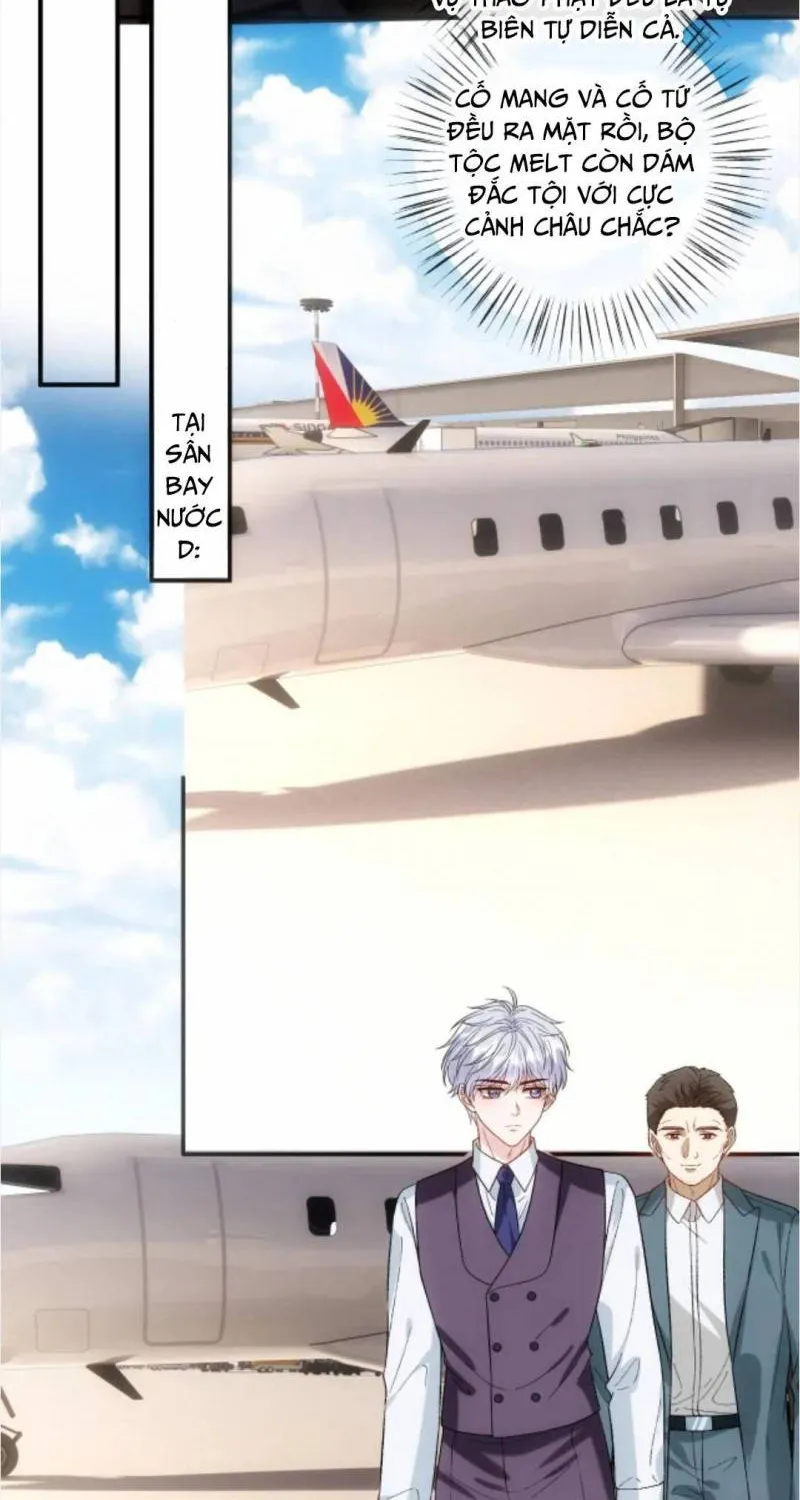 Vợ Của Lục Tổng Không Phải Dạng Vừa Chap 245 - Next Chap 246