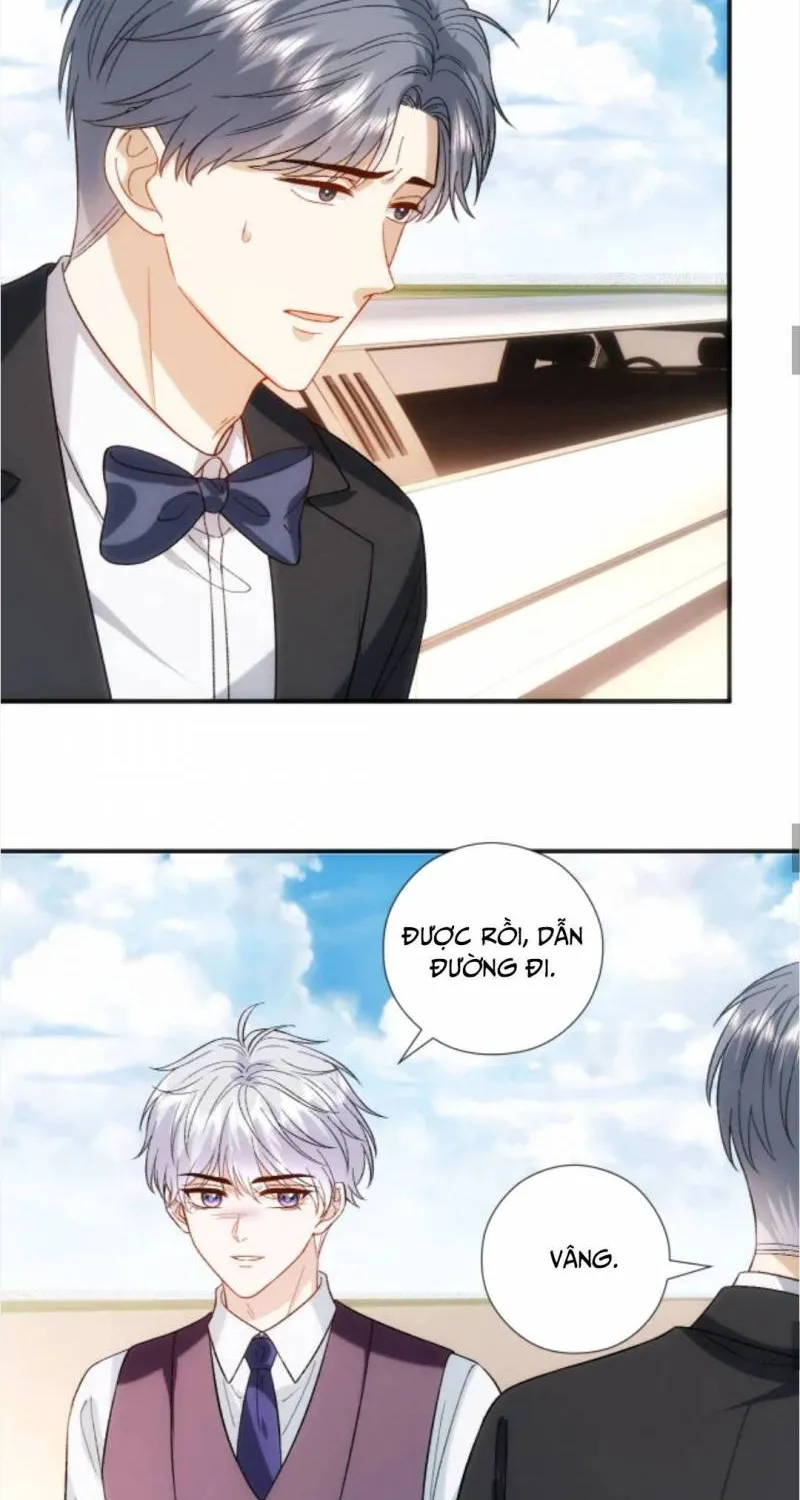 Vợ Của Lục Tổng Không Phải Dạng Vừa Chap 245 - Next Chap 246