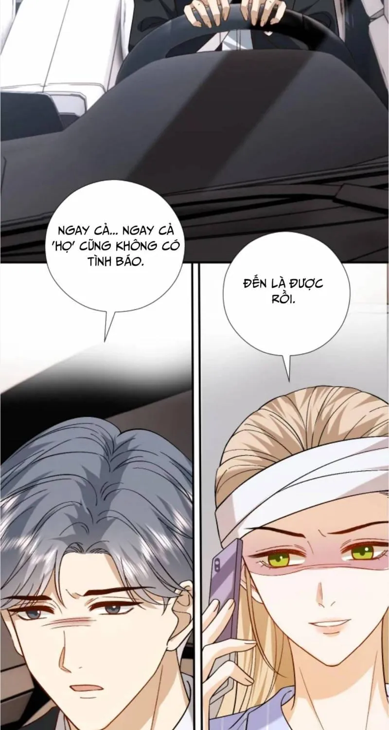 Vợ Của Lục Tổng Không Phải Dạng Vừa Chap 245 - Next Chap 246