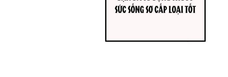 Vô Địch Bị Động Tạo Ra Tấn Sát Thương Chap 35 - Next Chap 36