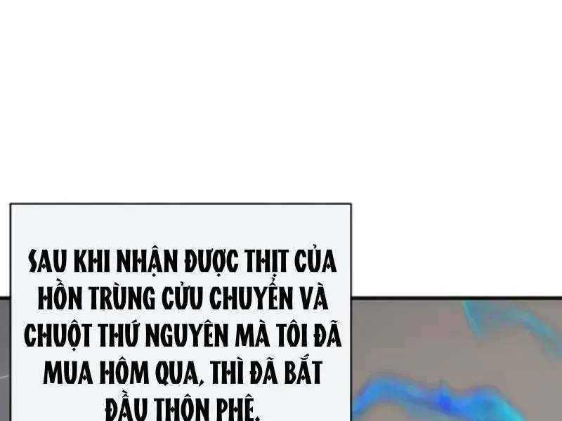 Vô Hạn Tiến Hóa Từ Con Số 0 Chap 80 - Next Chap 81
