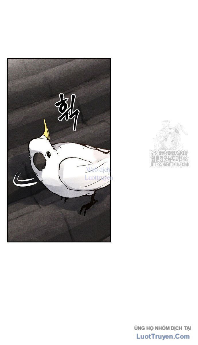 Vô Phạt Chap 13 - Next Chap 14