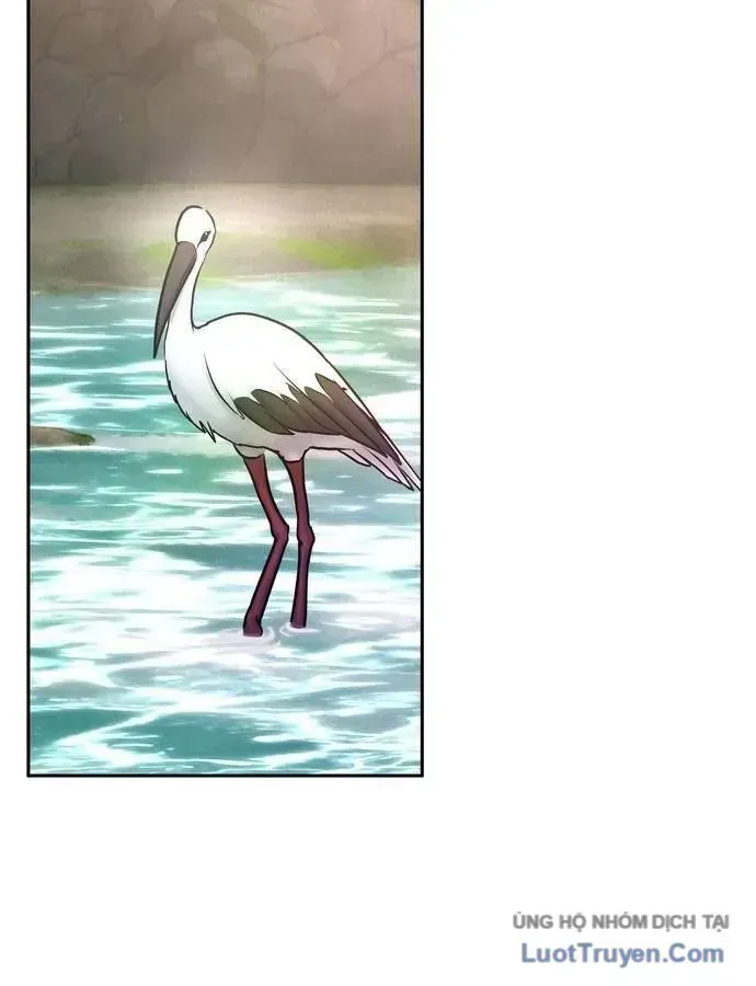 Vô Phạt Chap 29 - Next Chap 30