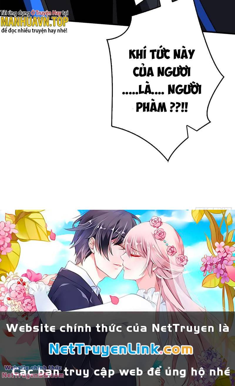 Vừa Chơi Đã Có Tài Khoản Vương Giả Chap 290 - Next Chap 291