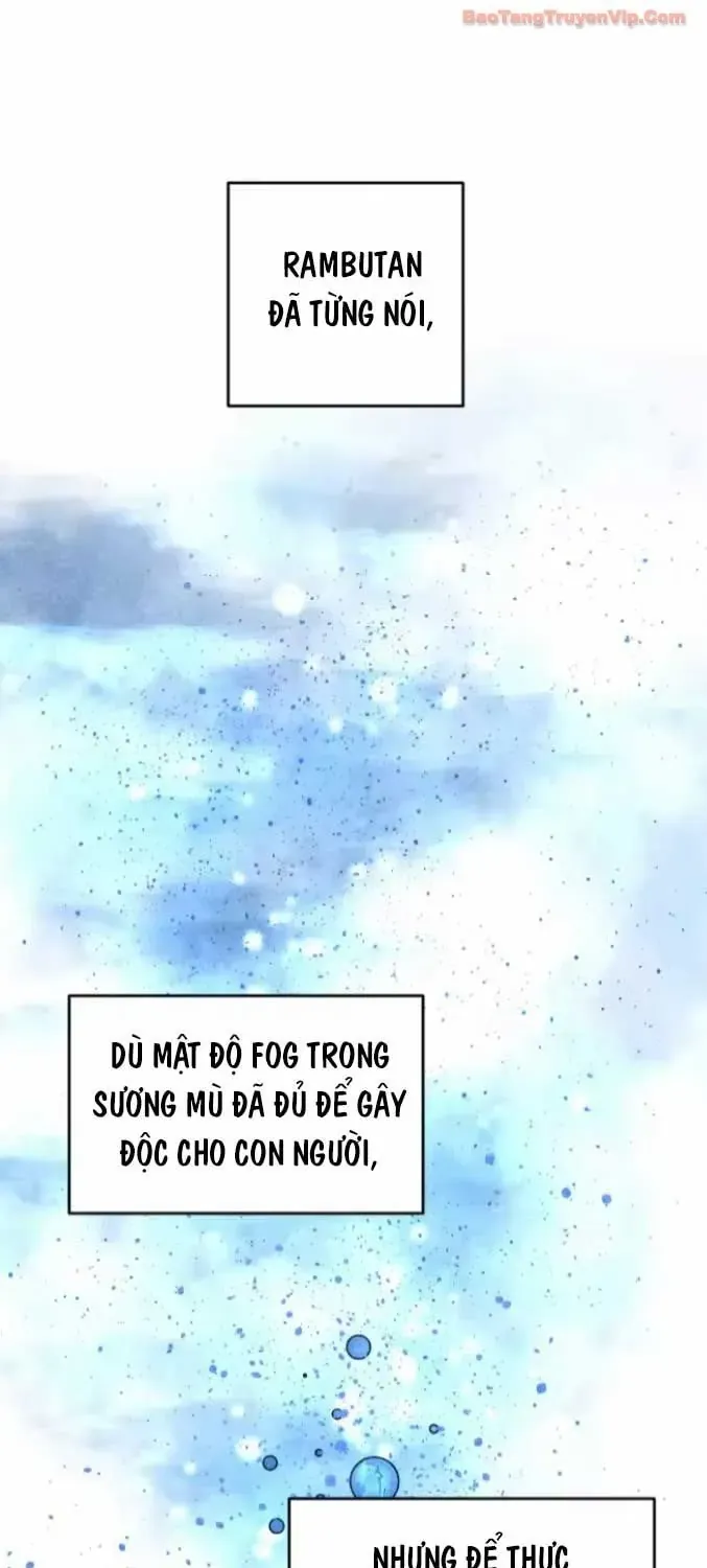 Vùng Đất Sương Mù Chap 30 - Next Chap 31