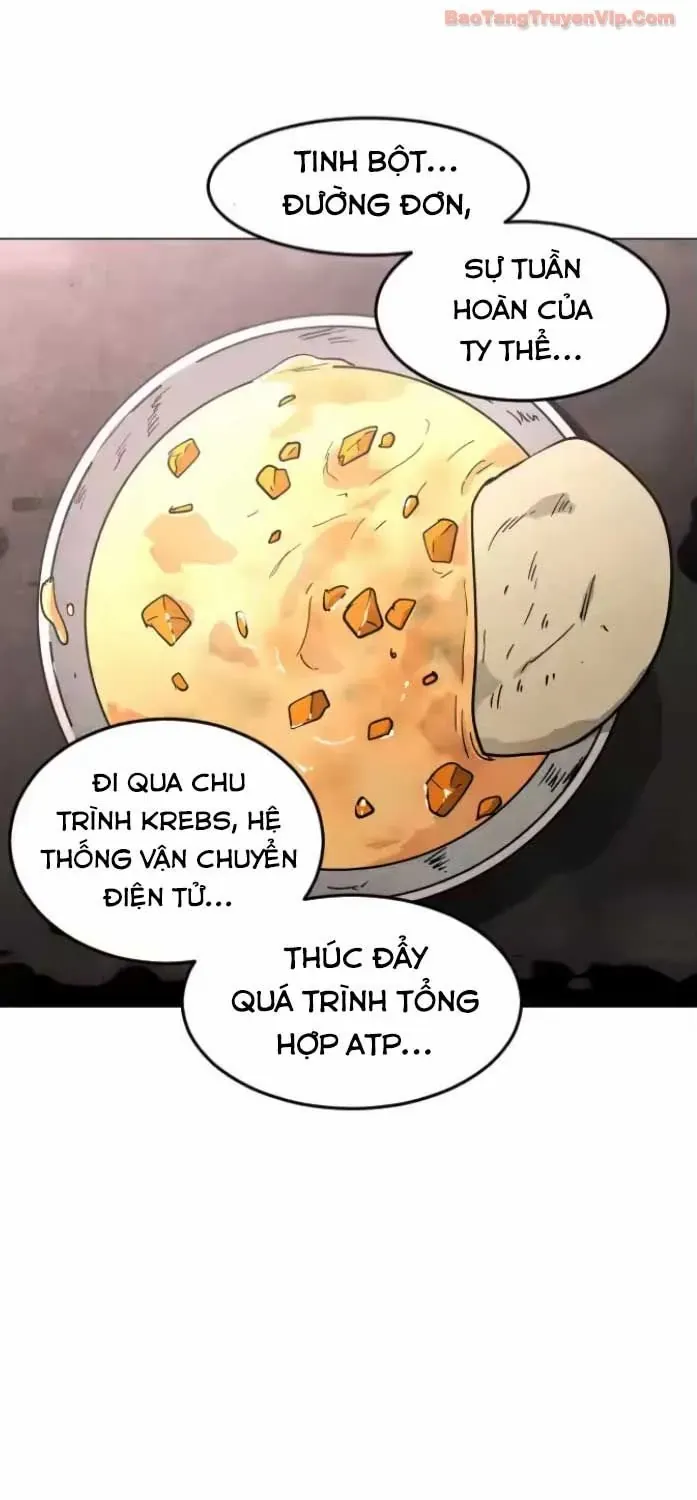 Vùng Đất Sương Mù Chap 30 - Next Chap 31