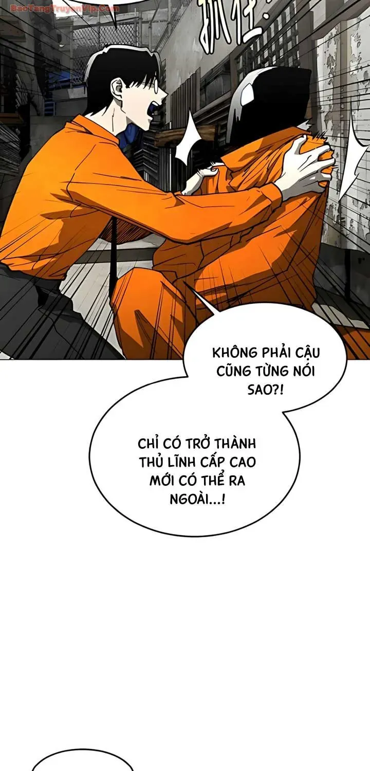 Vùng Đất Sương Mù Chap 31 - Next Chap 32