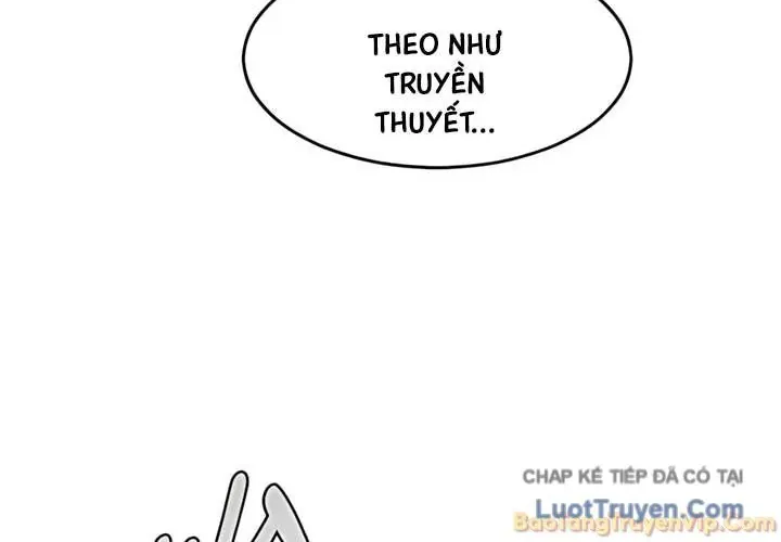 Vùng Đất Sương Mù Chap 31 - Next Chap 32