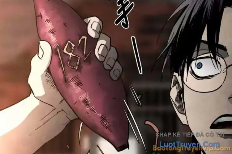 Vùng Đất Sương Mù Chap 32 - Next Chap 33